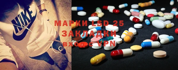 спиды Новозыбков